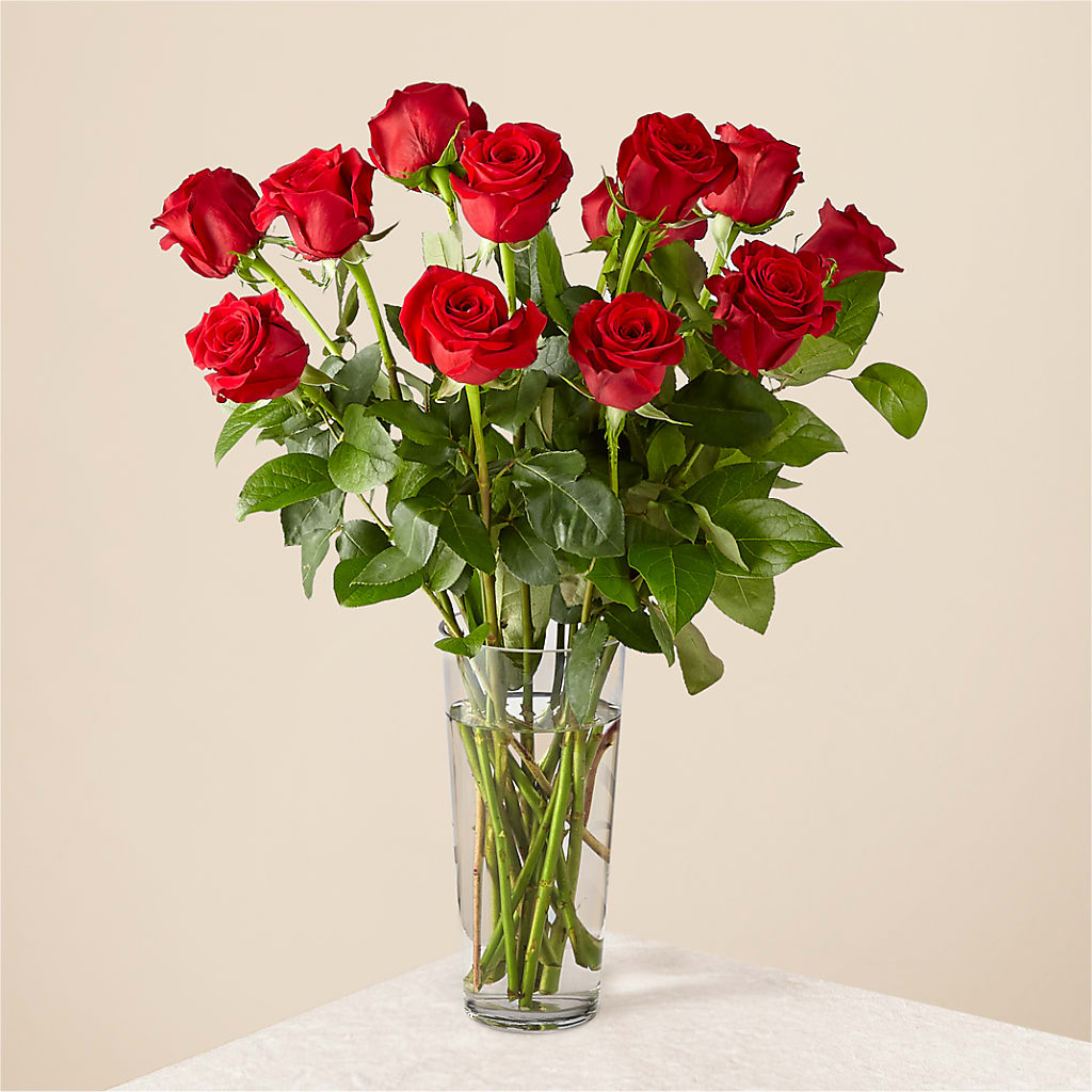 Long Stem Red Rose Bouquet – Flowers By Elena, Methuen MA