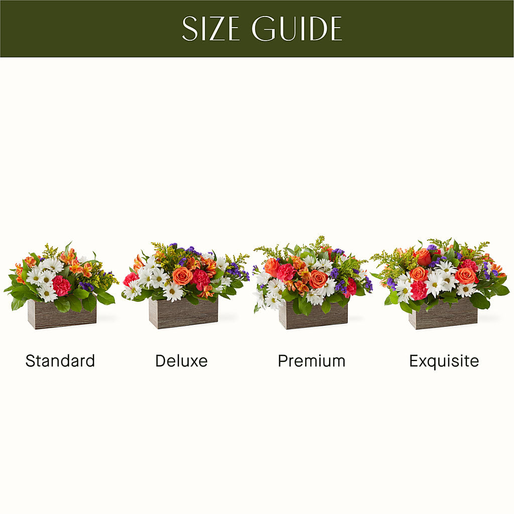 Oopsie Daisy Box Bouquet – Flowers By Elena, Methuen MA