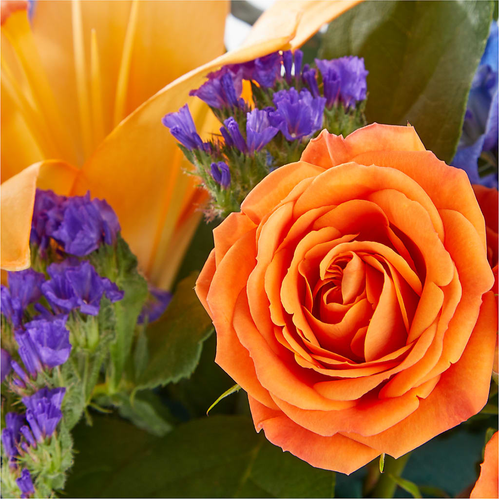 Radiant Citrus Box Bouquet – Flowers By Elena, Methuen MA