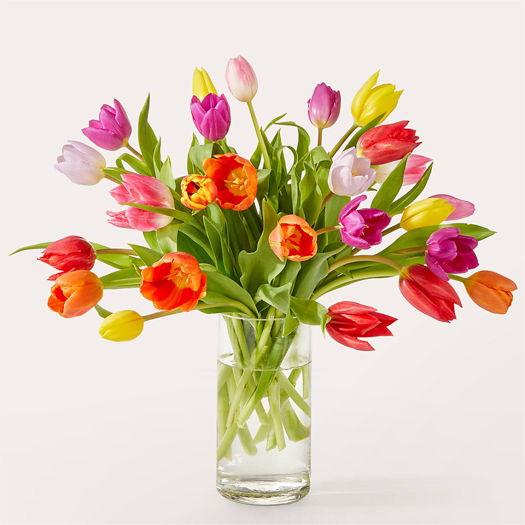 Let's Talk Tulips Bouquet – Flowers By Elena, Methuen MA