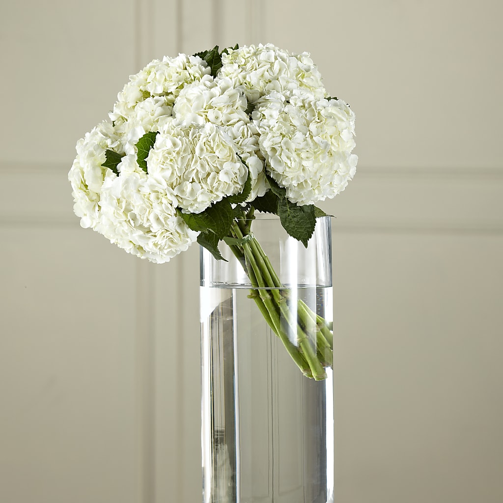 White Hydrangea Hand-Tied Bouquet – Flowers By Elena, Methuen MA