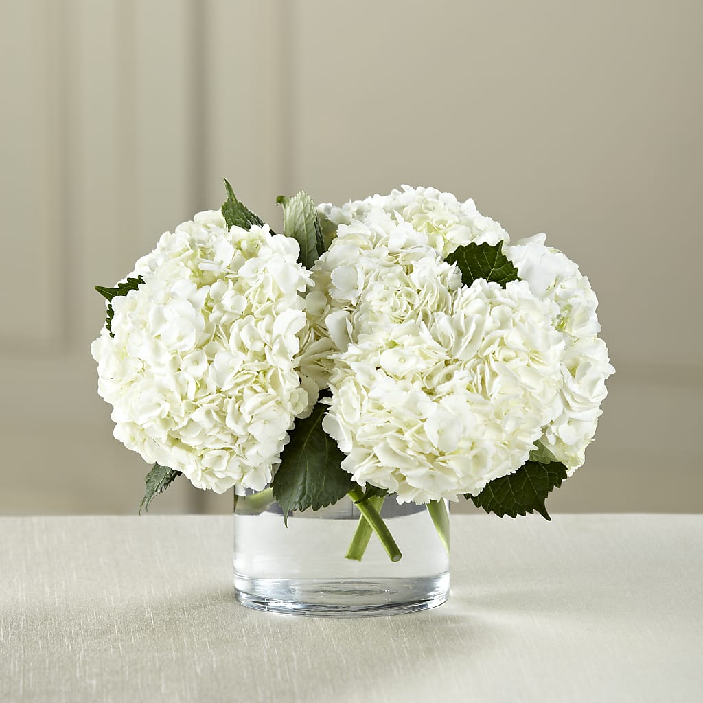 White Hydrangea Bouquet – Flowers By Elena, Methuen MA