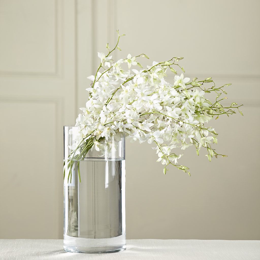 White Dendrobium Bouquet – Flowers By Elena, Methuen MA