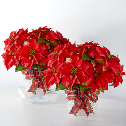 Happiest Holidays Poinsettia Bundle –  Flowers By Elena, Methuen MA