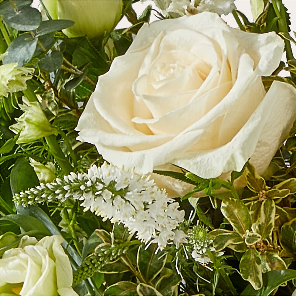 Cashmere Bouquet –  Flowers By Elena, Methuen MA