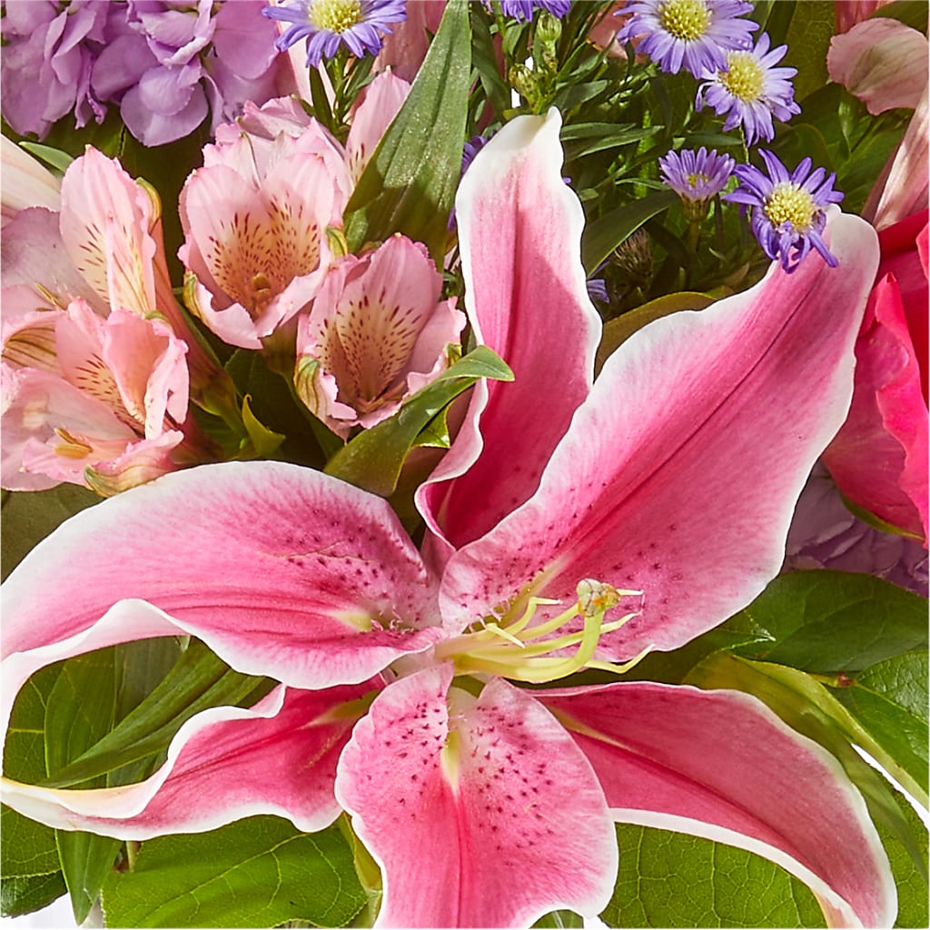Written in the Stars Bouquet –  Flowers By Elena, Methuen MA