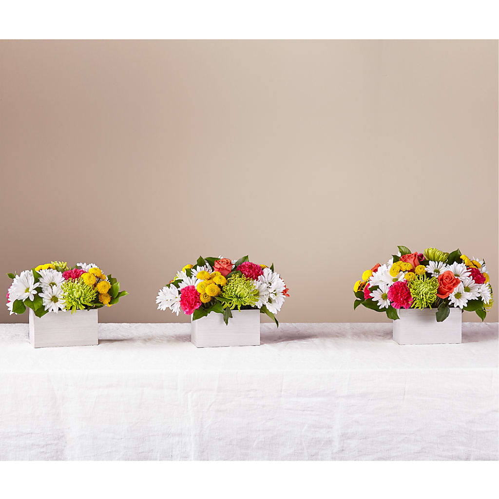 Sorbet Bouquet –  Flowers By Elena, Methuen MA