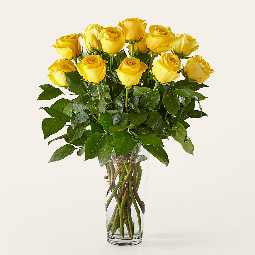 Long Stem Yellow Rose Bouquet –  Flowers By Elena, Methuen MA