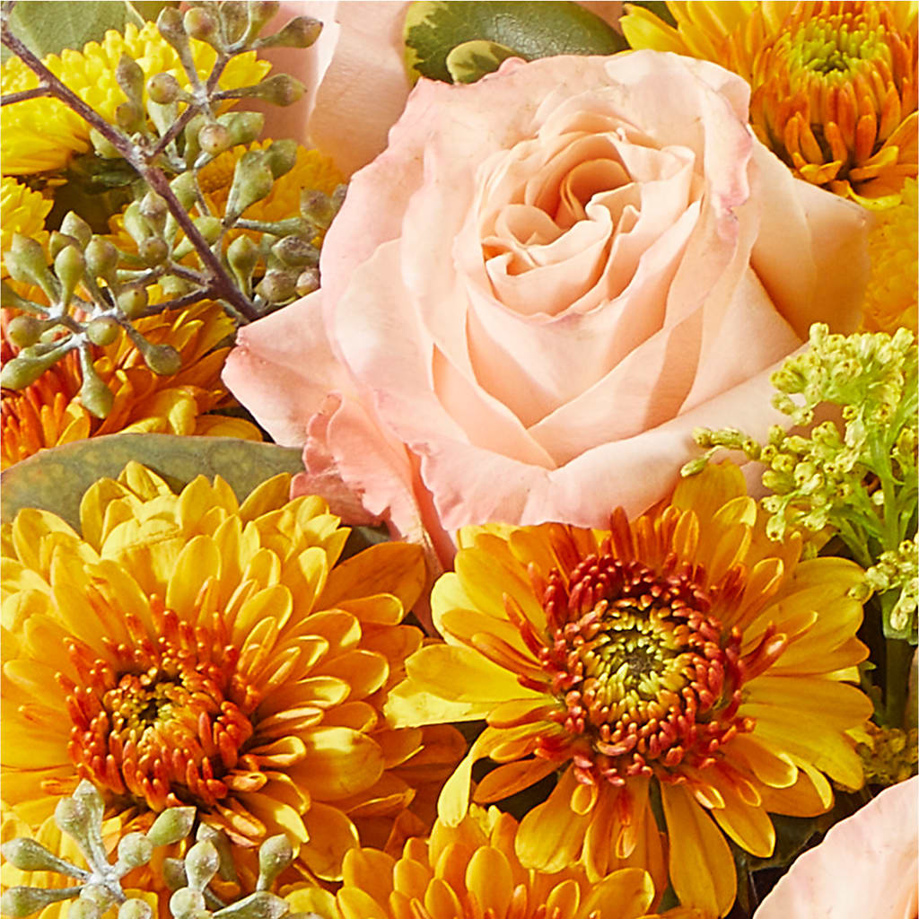 Peachy Pumpkin –  Flowers By Elena, Methuen MA