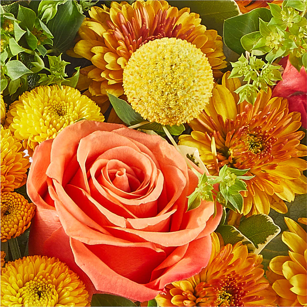Gourdgeous Pumpkin –  Flowers By Elena, Methuen MA