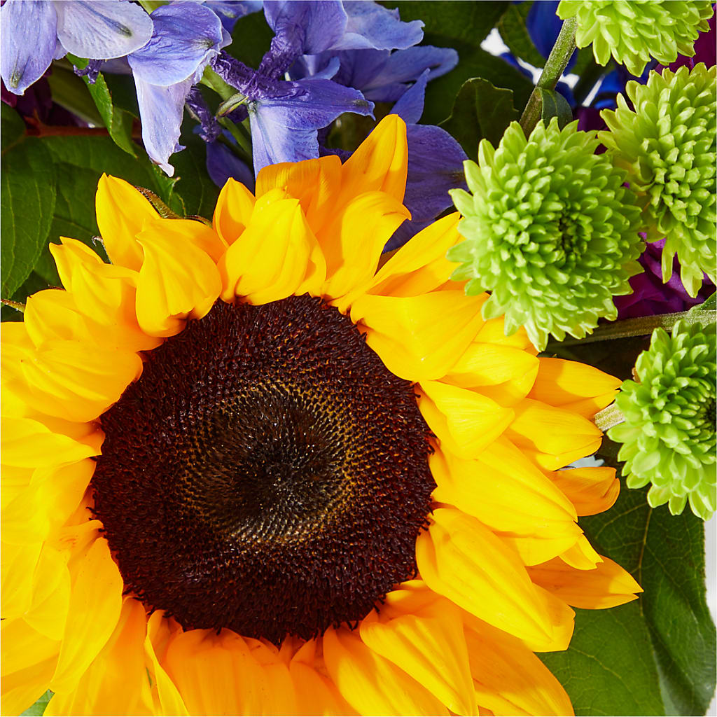 Catching Rays Bouquet –  Flowers By Elena, Methuen MA