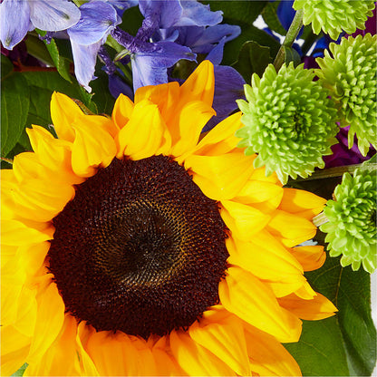 Catching Rays Bouquet –  Flowers By Elena, Methuen MA