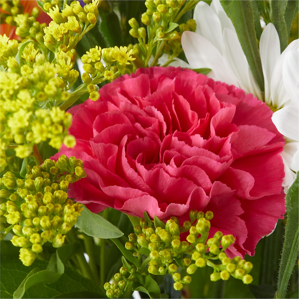 Oopsie Daisy Bouquet –  Flowers By Elena, Methuen MA
