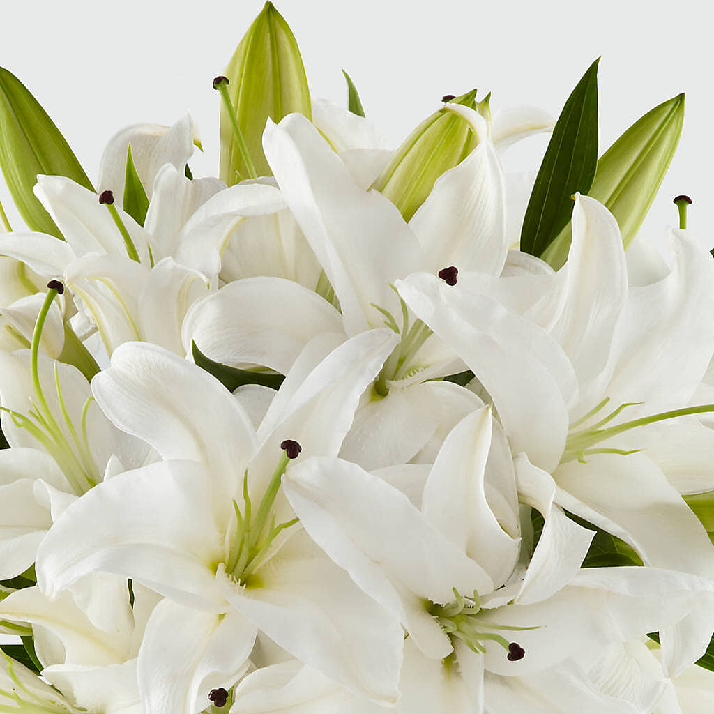 Faithful Blessings Bouquet –  Flowers By Elena, Methuen MA