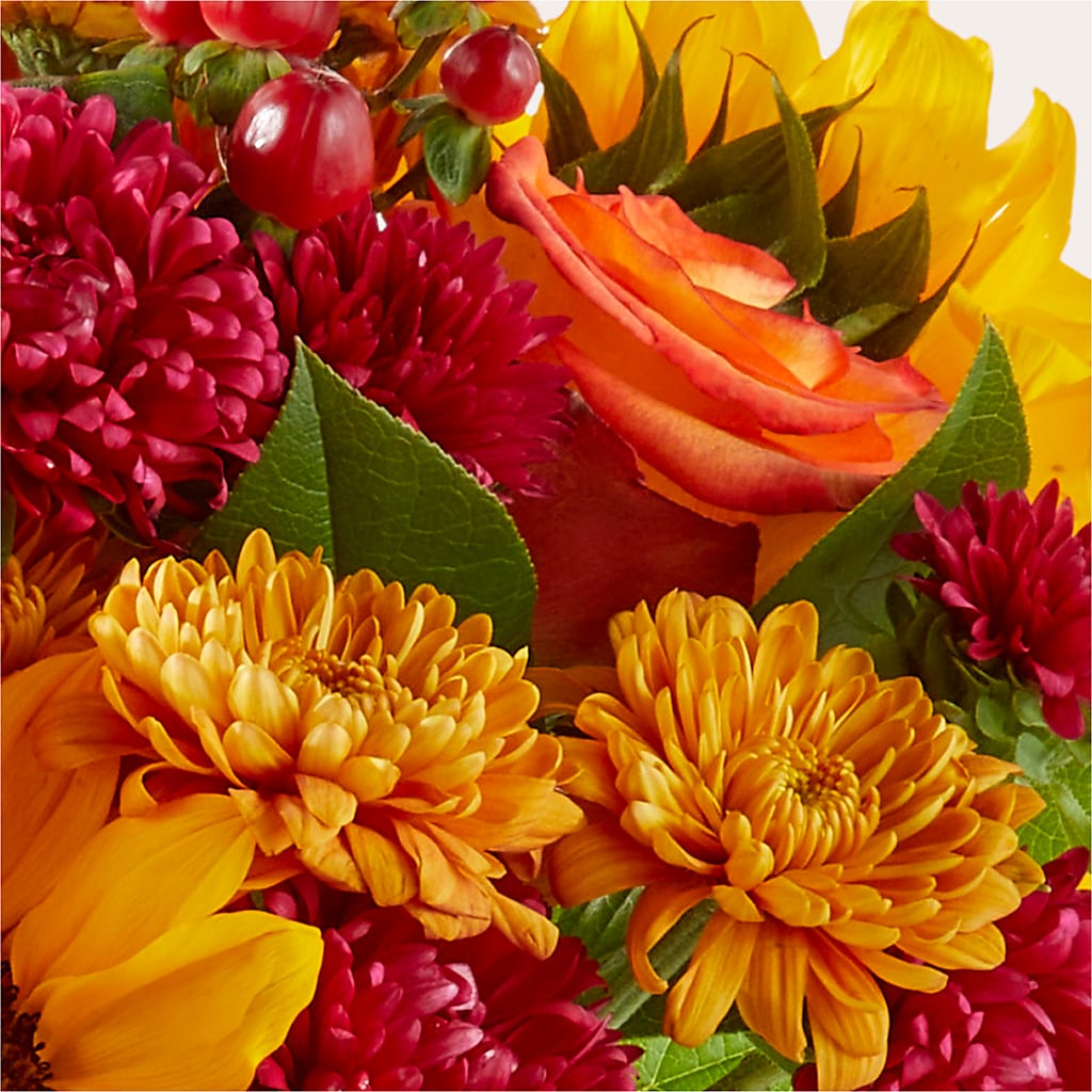 Sweater Season - A Florist Original –  Flowers By Elena, Methuen MA