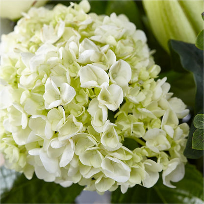 Classic Ivory – A Florist Original –  Flowers By Elena, Methuen MA
