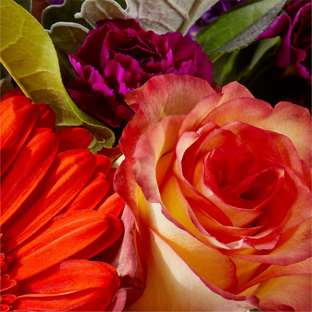 Sangria Bouquet –  Flowers By Elena, Methuen MA