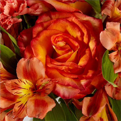 Apricot Glow Bouquet –  Flowers By Elena, Methuen MA