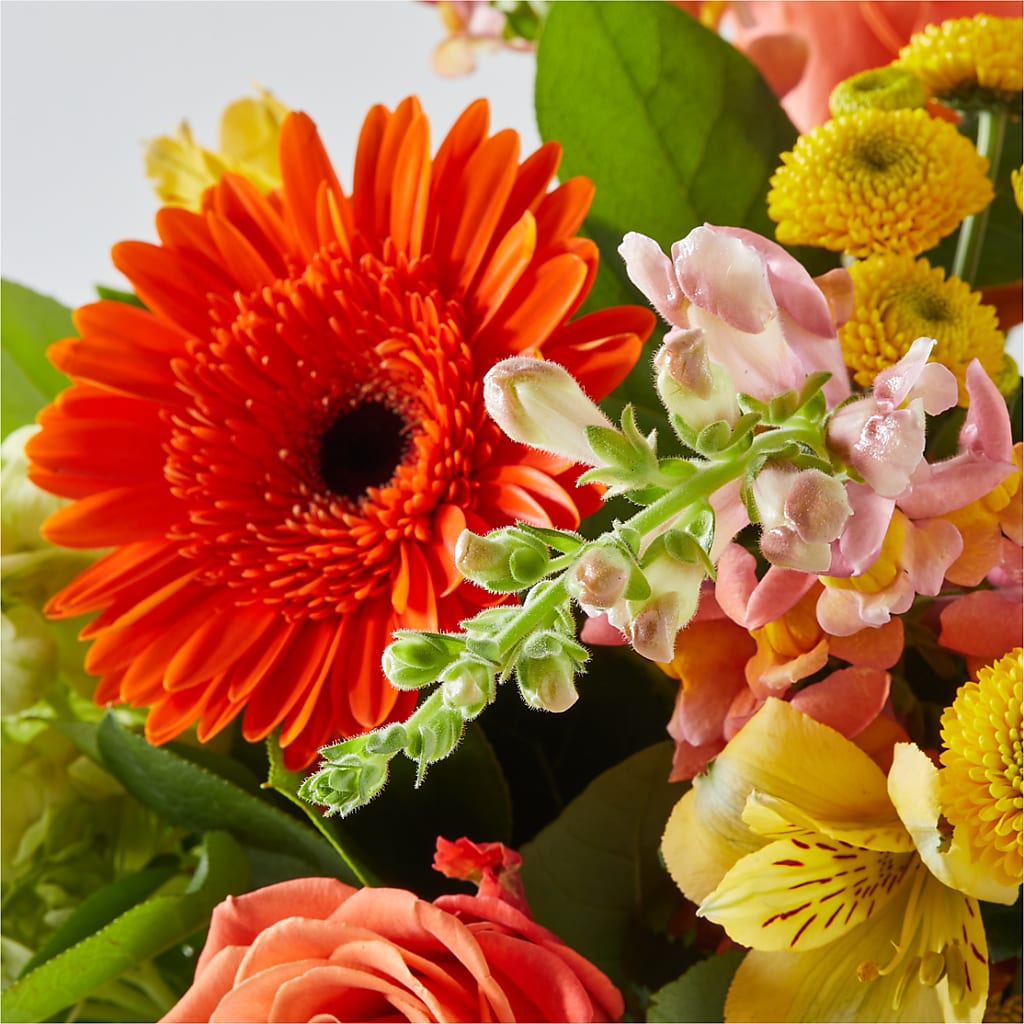 Autumn Sunshine Bouquet –  Flowers By Elena, Methuen MA