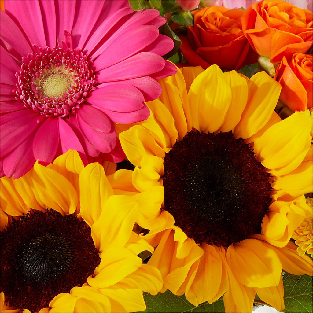 Beach Day Bouquet –  Flowers By Elena, Methuen MA