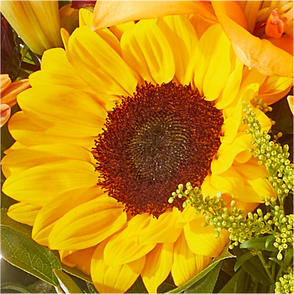 Seasons Change Bouquet –  Flowers By Elena, Methuen MA