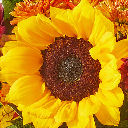 Sunny Side Bouquet –  Flowers By Elena, Methuen MA