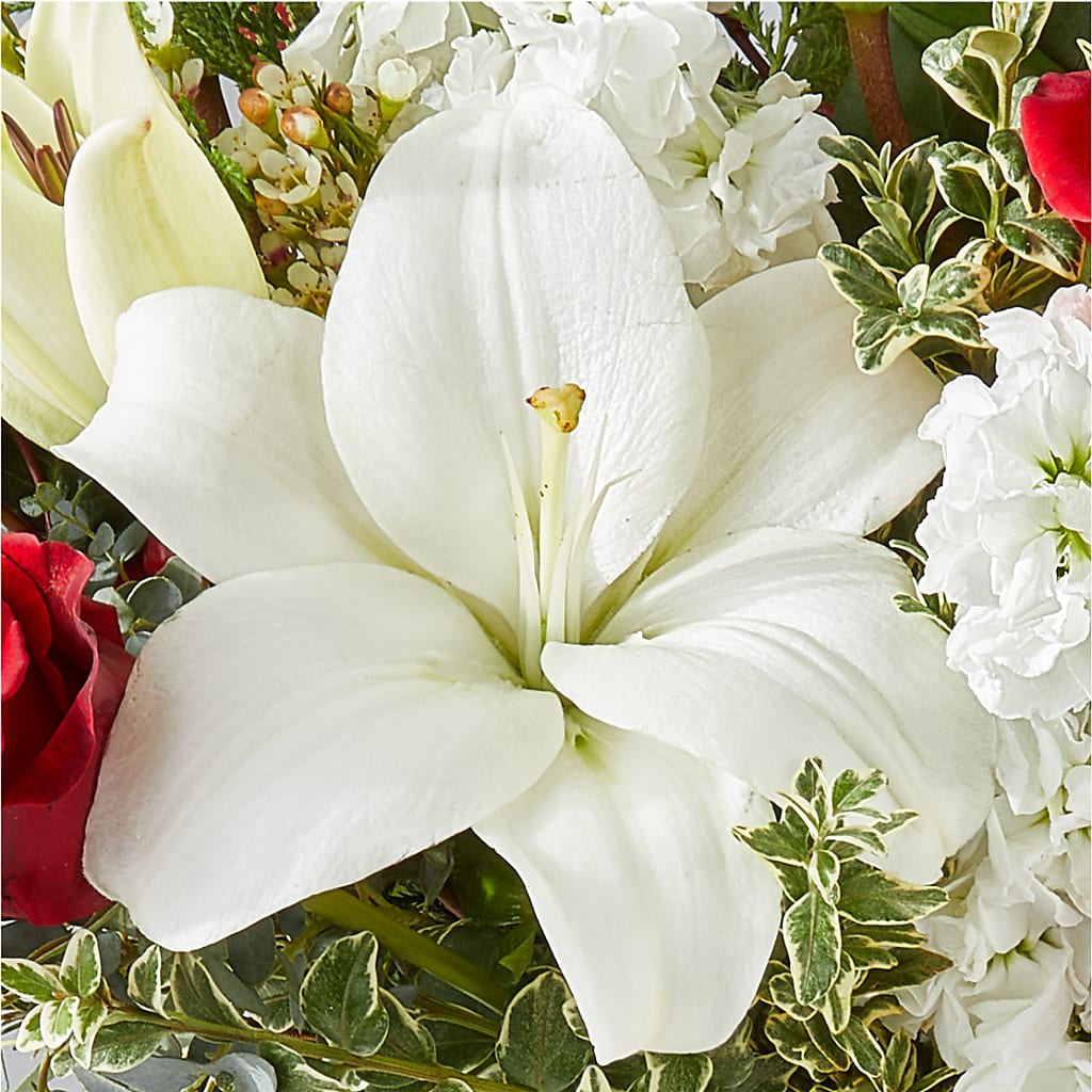 Twinkle Lights Bouquet –  Flowers By Elena, Methuen MA