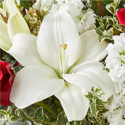 Twinkle Lights Bouquet –  Flowers By Elena, Methuen MA