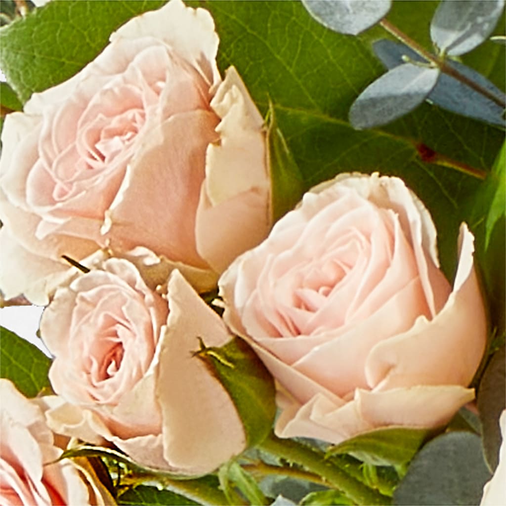 Inspired Bouquet –  Flowers By Elena, Methuen MA