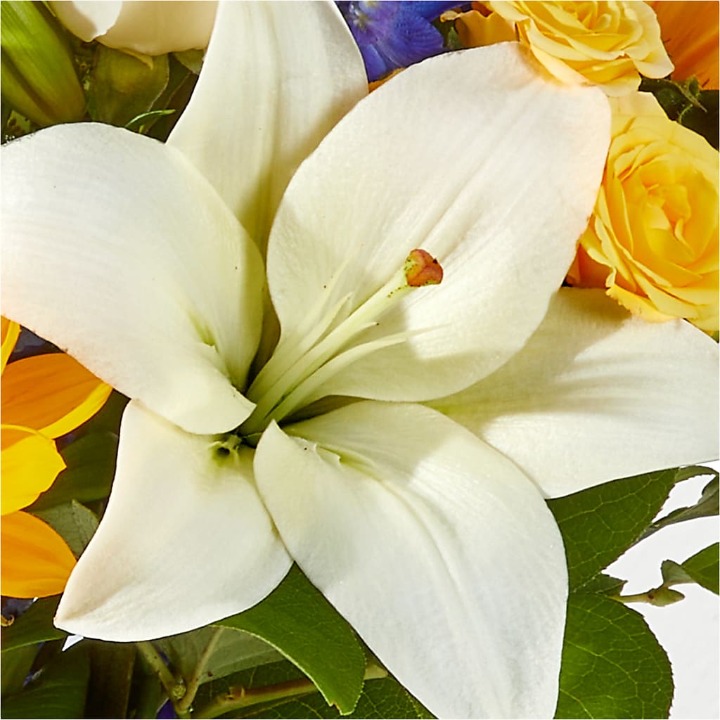 Wonderfully Sunny Bouquet –  Flowers By Elena, Methuen MA