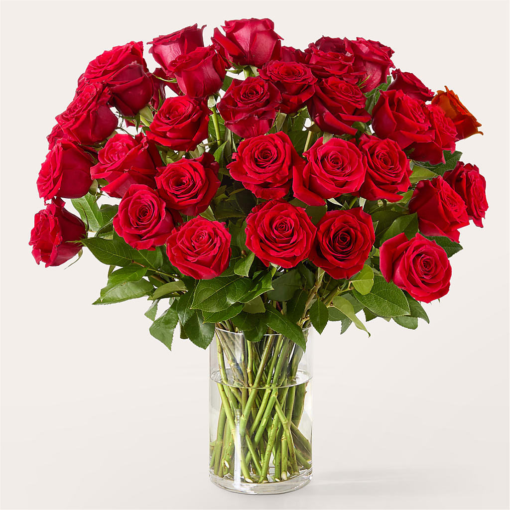 The One Red Rose Bouquet –  Flowers By Elena, Methuen MA