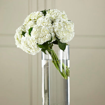 White Hydrangea Hand-Tied Bouquet –  Flowers By Elena, Methuen MA